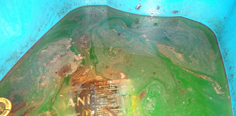 A bucket of mostly coolant and traces of automatic transmission fluid.